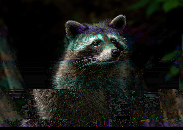 Newline Corruption Comparison on raccoon.png