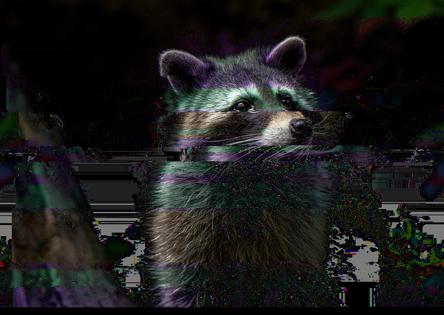 Newline Corruption Comparison on raccoon.png