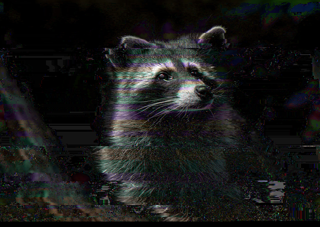 Newline Corruption Comparison on raccoon.png